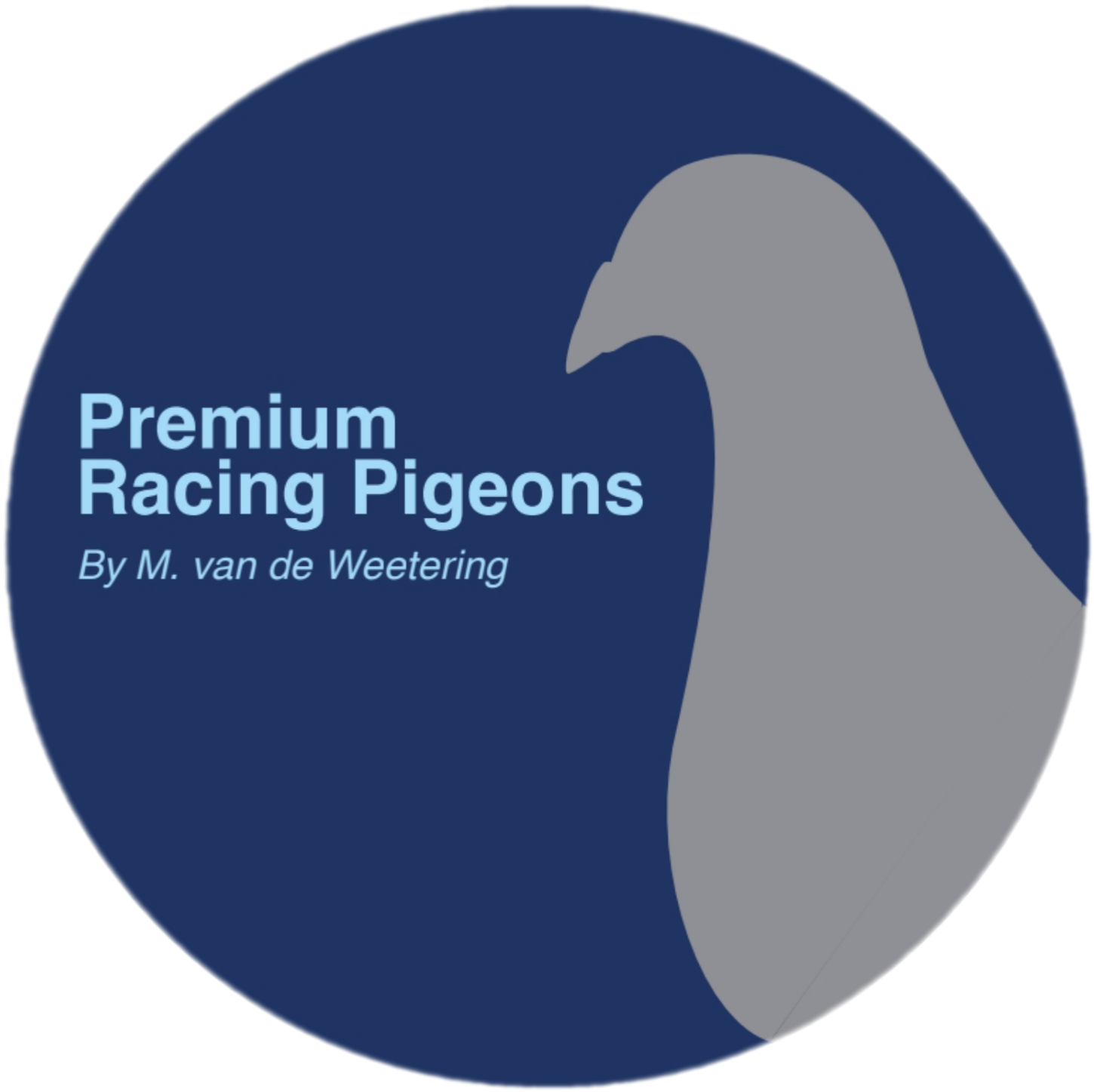 Premium Racing Pigeons